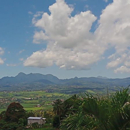 Martinique Vue D'Exception Et Piscine Villa Le Lamentin Eksteriør bilde
